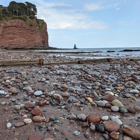 Seaside Guest House A Stone'S Throw From The Beach Dawlish Dış mekan fotoğraf
