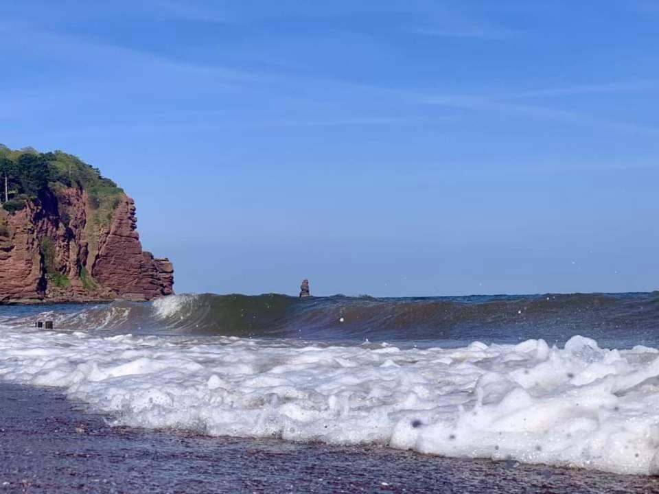 Seaside Guest House A Stone'S Throw From The Beach Dawlish Dış mekan fotoğraf